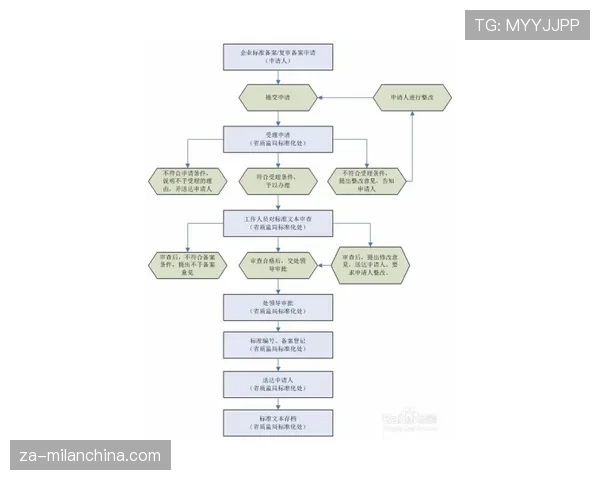 篮球挑战判罚规则的申请机制与执行流程解析